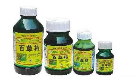 危險(xiǎn)品出口