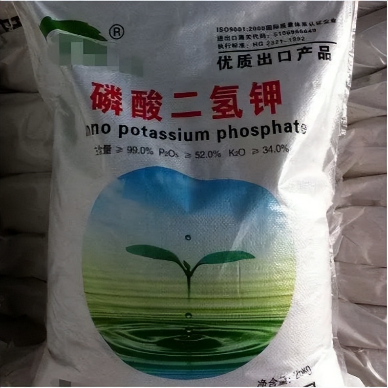 中港?；坟洿? width=