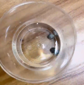 <a href='http://m.hrgnw.cn' title='危險品貨代' >危險品貨代</a>